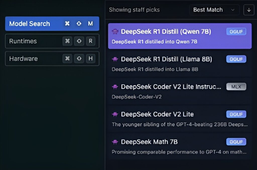 DeepSeek R1 Options